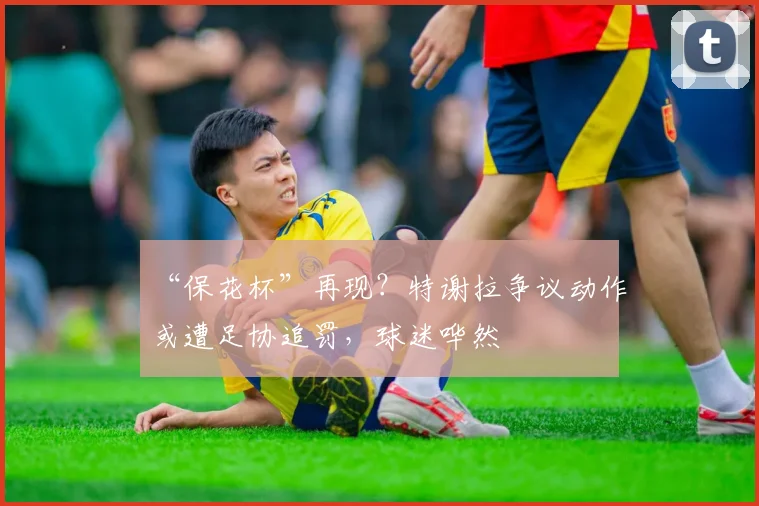 “保花杯”再现？特谢拉争议动作或遭足协追罚，球迷哗然