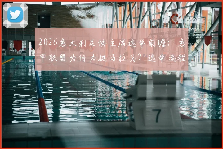 2026意大利足协主席选举前瞻：意甲联盟为何力挺马拉戈？选举流程与关键候选人深度解析